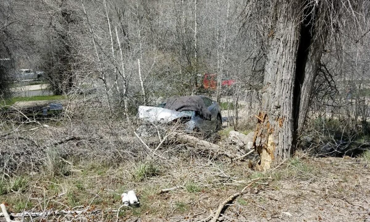 Park City man dies after car hits tree in Morgan County on State Road ...